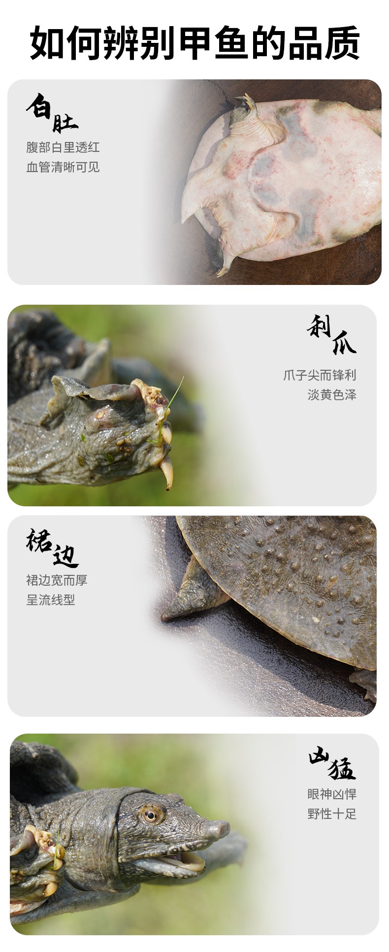 和萬安|生態農業|有機食品|綠色食品|稻田共養