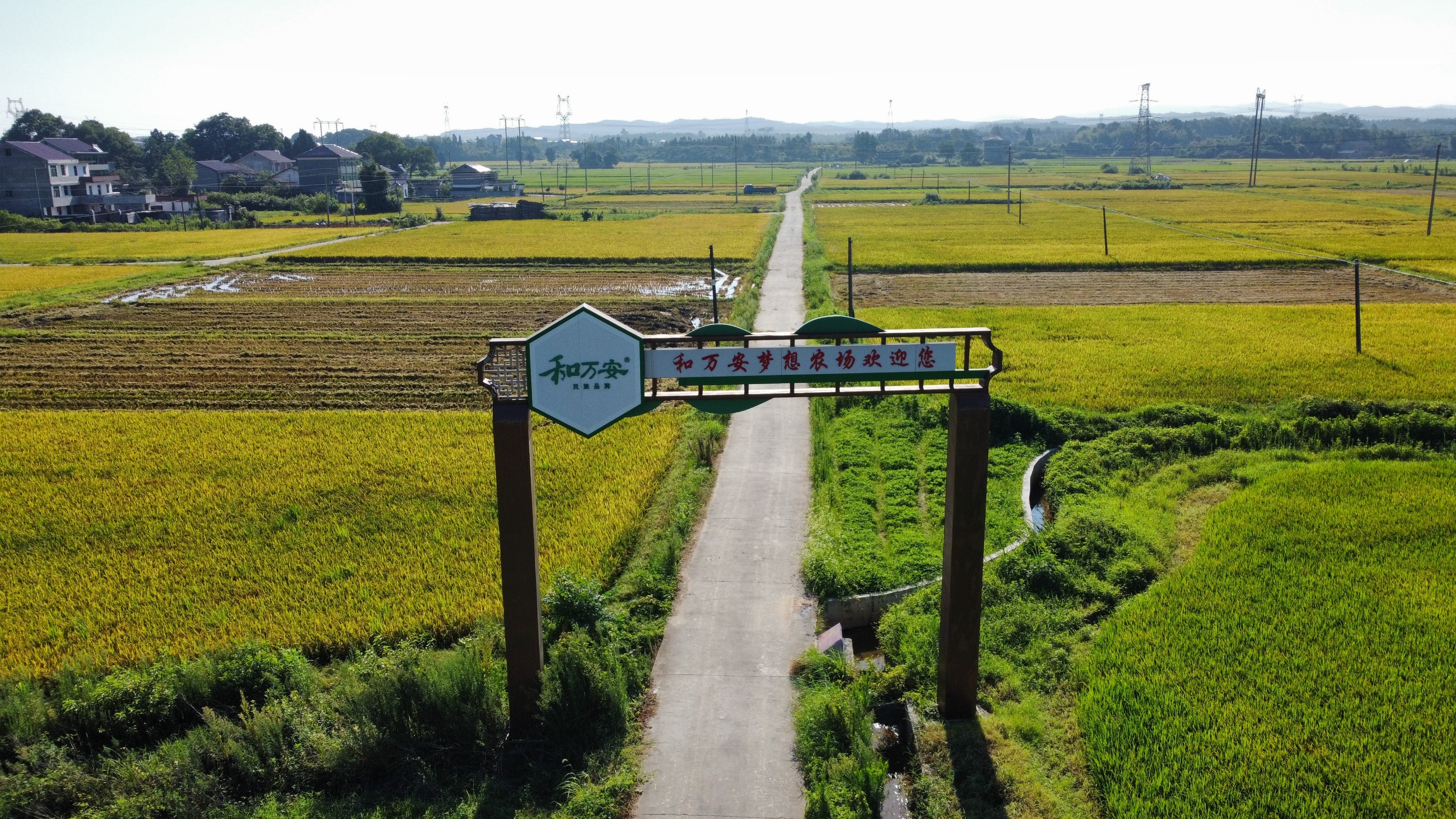 和萬安|生態農業|有機食品|綠色食品|稻田共養