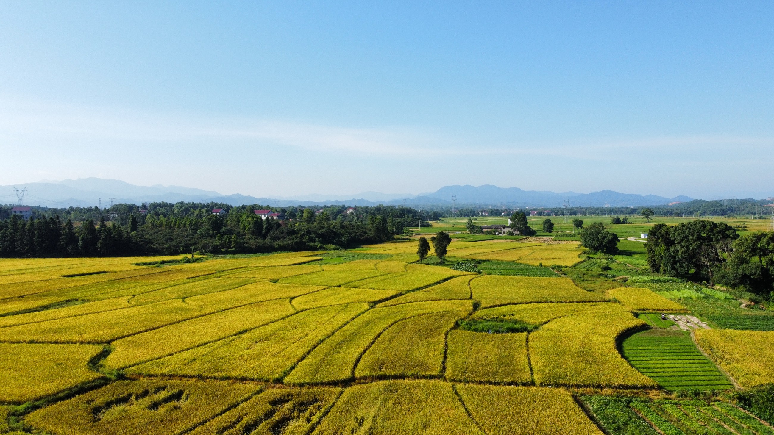 和萬安|生態農業|有機食品|綠色食品|稻田共養