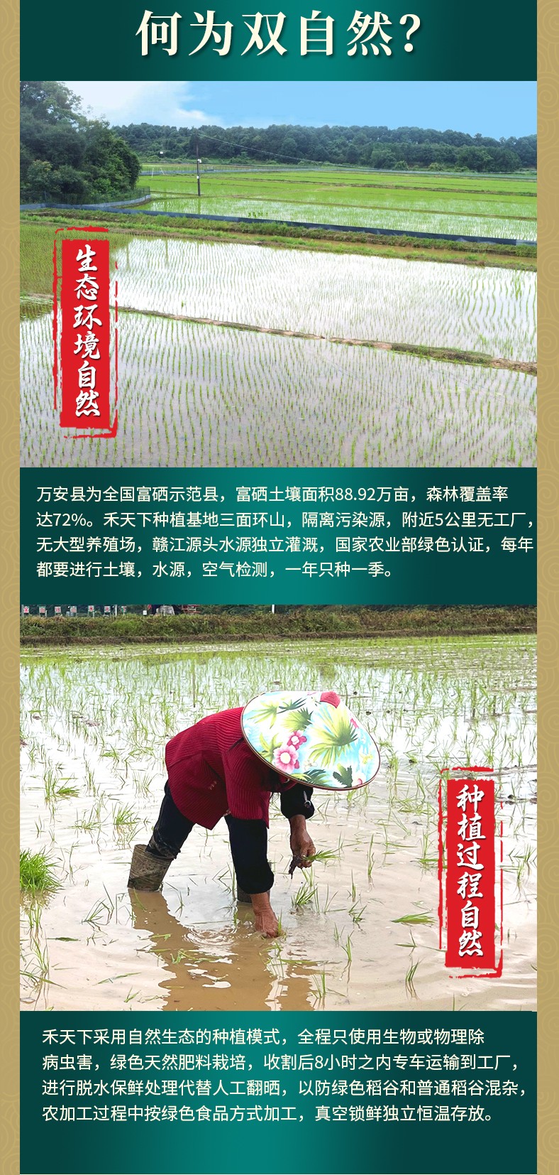 和萬安|生態(tài)農(nóng)業(yè)|有機(jī)食品|綠色食品|稻田共養(yǎng)