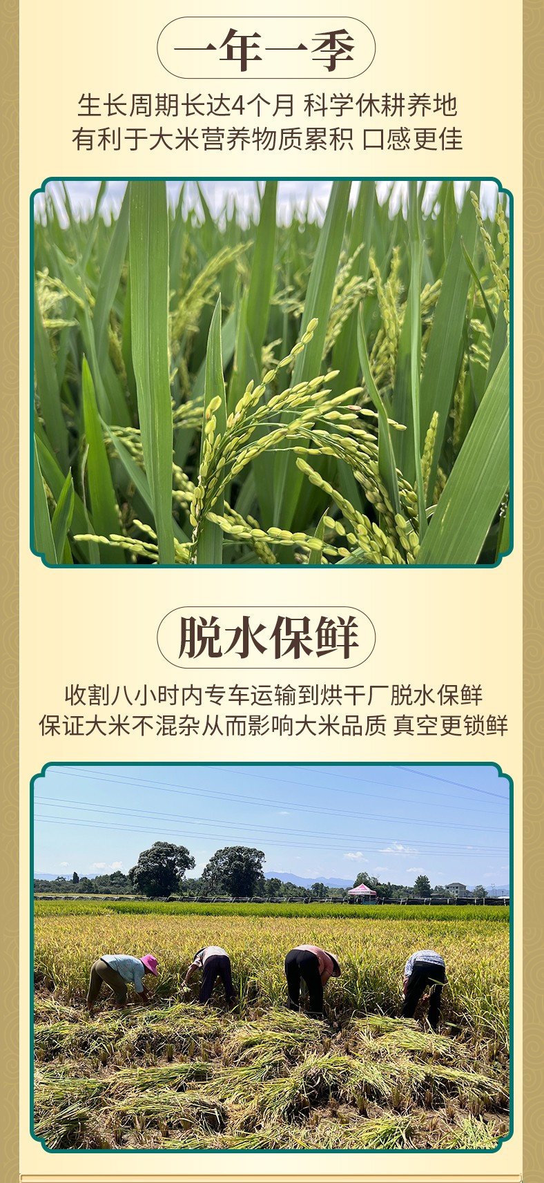 和萬安|生態(tài)農(nóng)業(yè)|有機(jī)食品|綠色食品|稻田共養(yǎng)