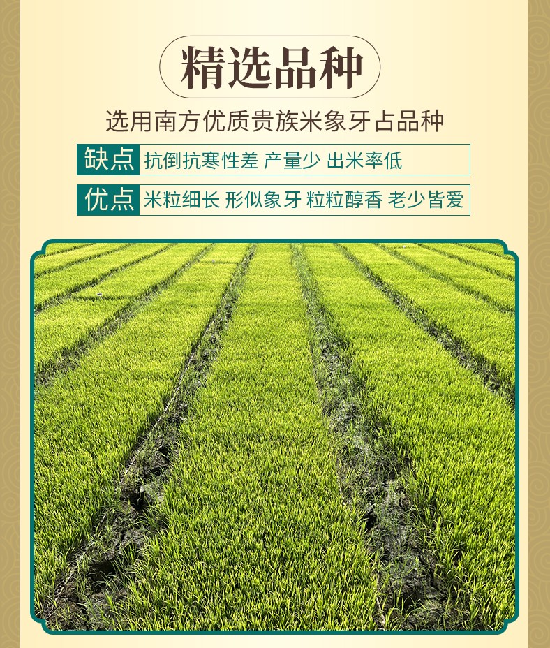 和萬安|生態(tài)農(nóng)業(yè)|有機(jī)食品|綠色食品|稻田共養(yǎng)