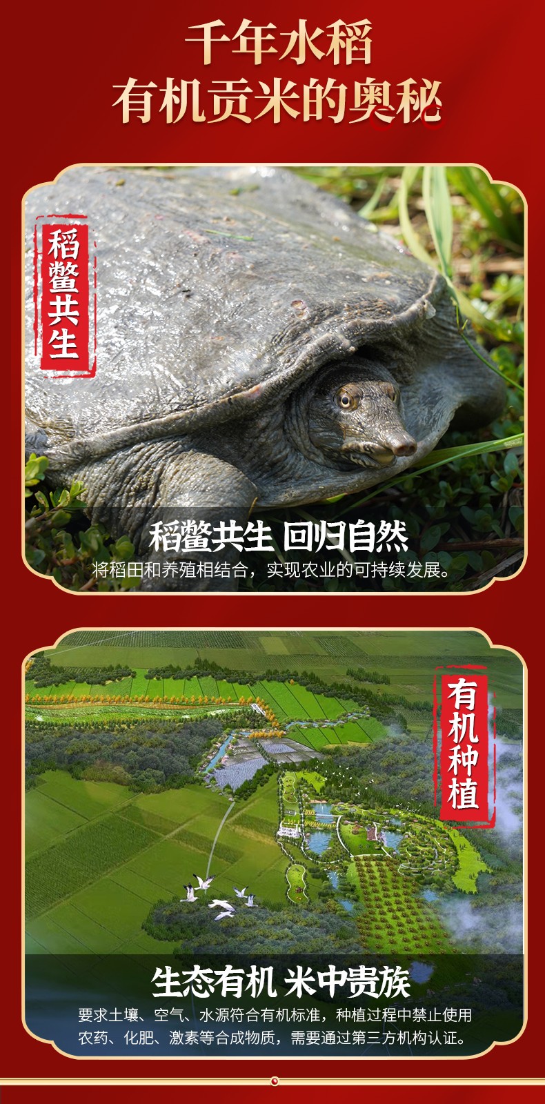 和萬安|生態農業|有機食品|綠色食品|稻田共養