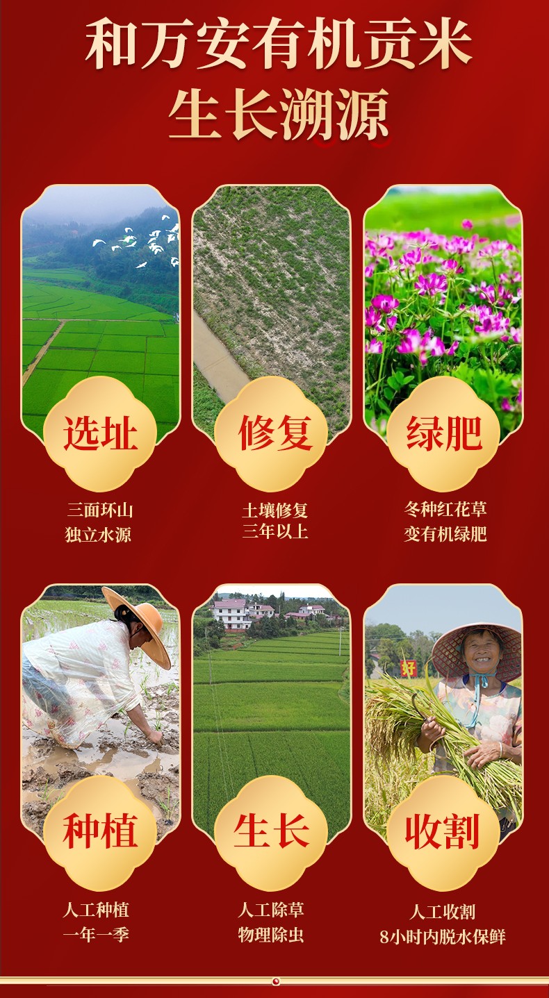 和萬安|生態農業|有機食品|綠色食品|稻田共養