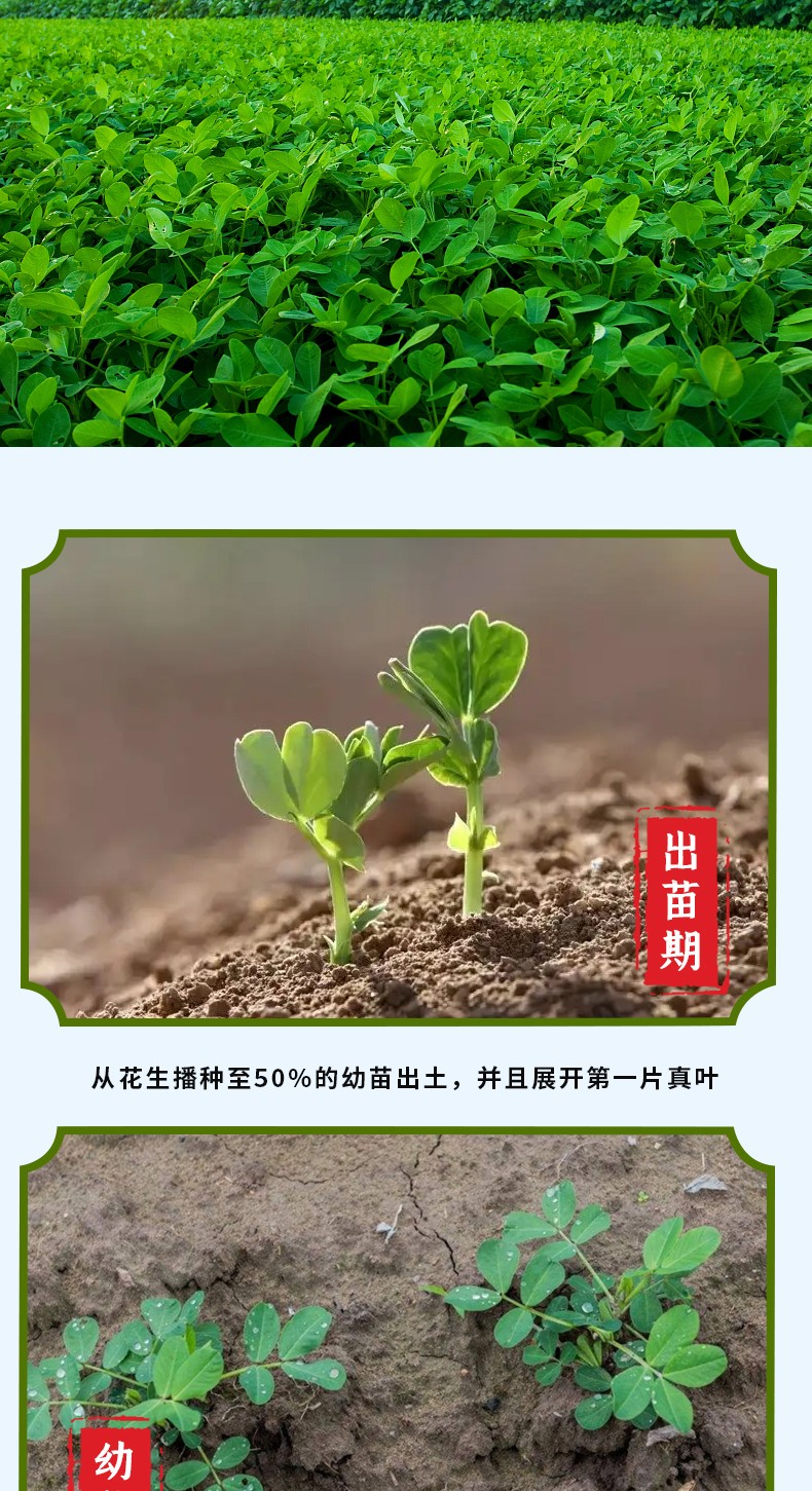 和萬(wàn)安|生態(tài)農(nóng)業(yè)|有機(jī)食品|綠色食品|稻田共養(yǎng)