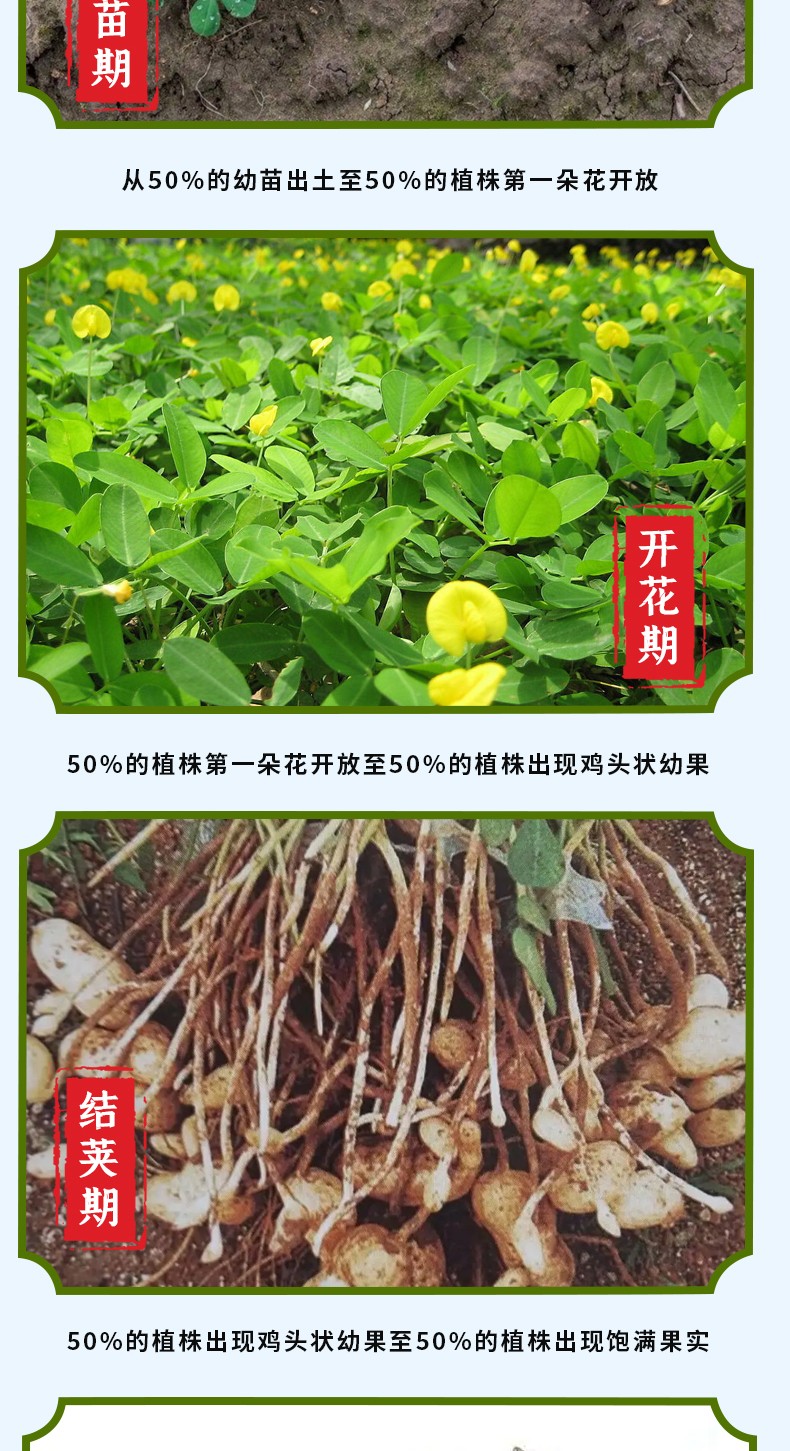 和萬(wàn)安|生態(tài)農(nóng)業(yè)|有機(jī)食品|綠色食品|稻田共養(yǎng)