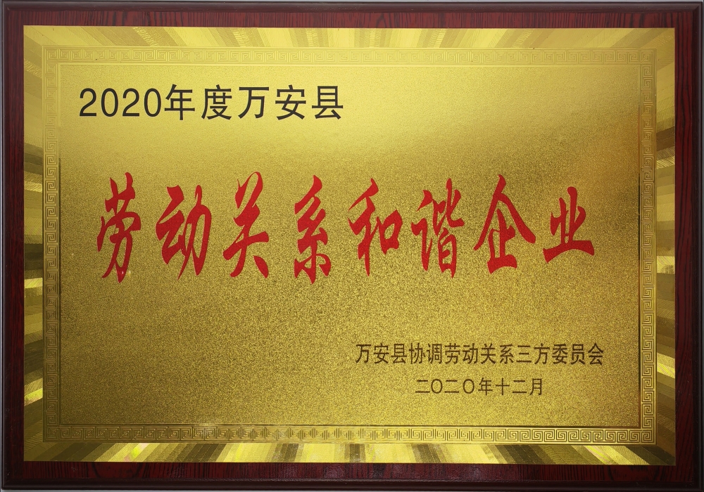 2020年度勞動(dòng)關(guān)系和諧企業(yè)