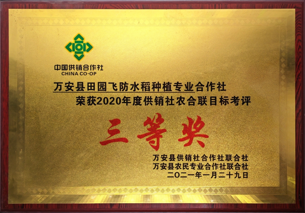 2020年度供銷社農(nóng)合聯(lián)目標(biāo)考評(píng)三等獎(jiǎng)